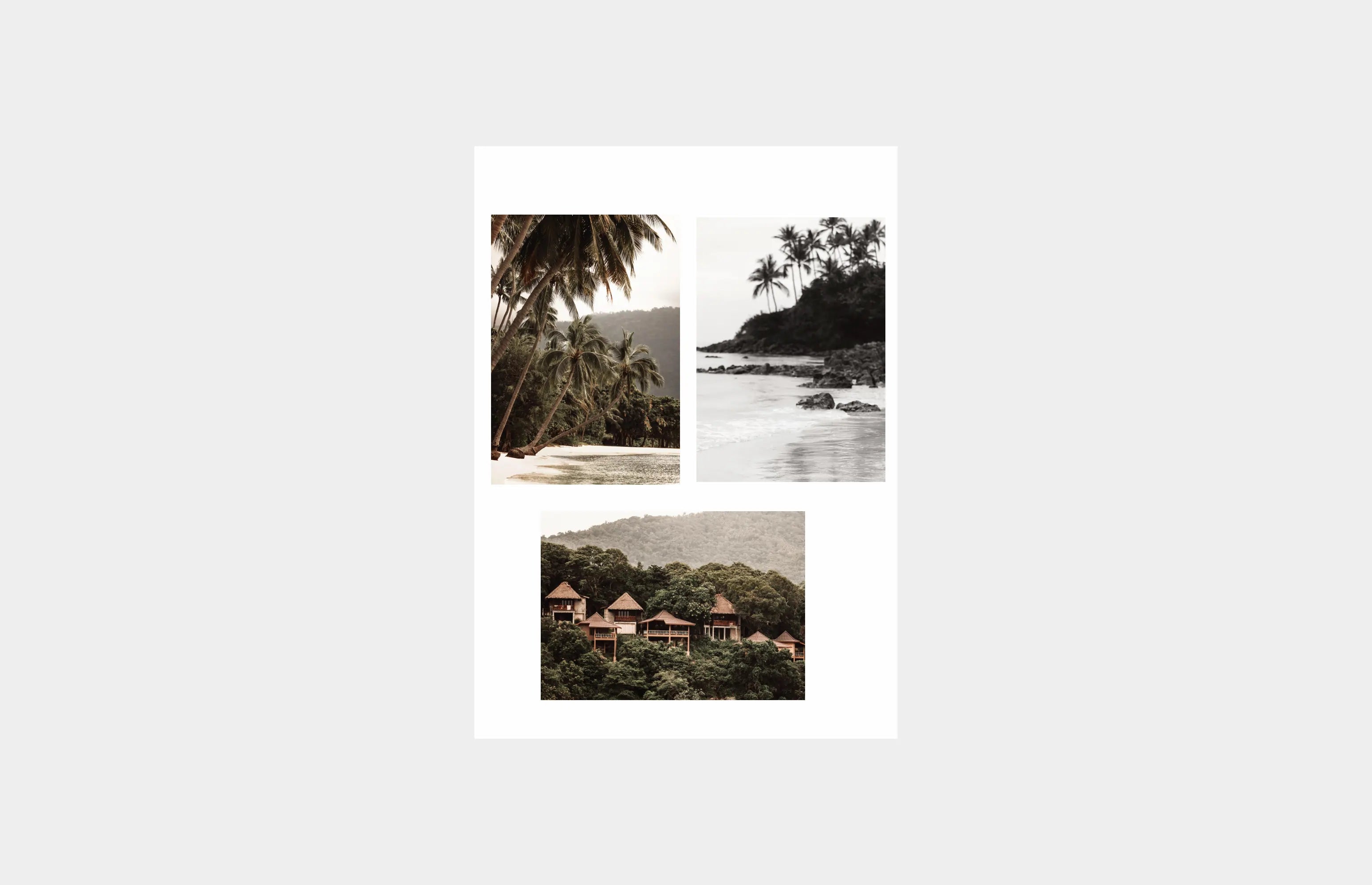 Kit 3 Quadros Paisagens Tropicais | AD0004