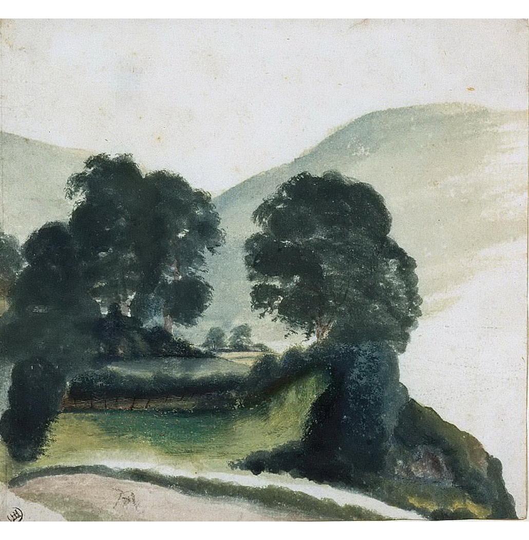 Grupo de Árvores com Trilha nas Montanhas - Dürer