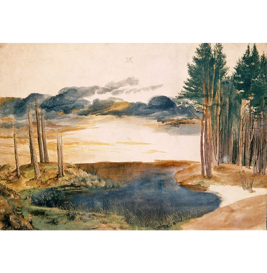 Lagoa na Floresta - Dürer
