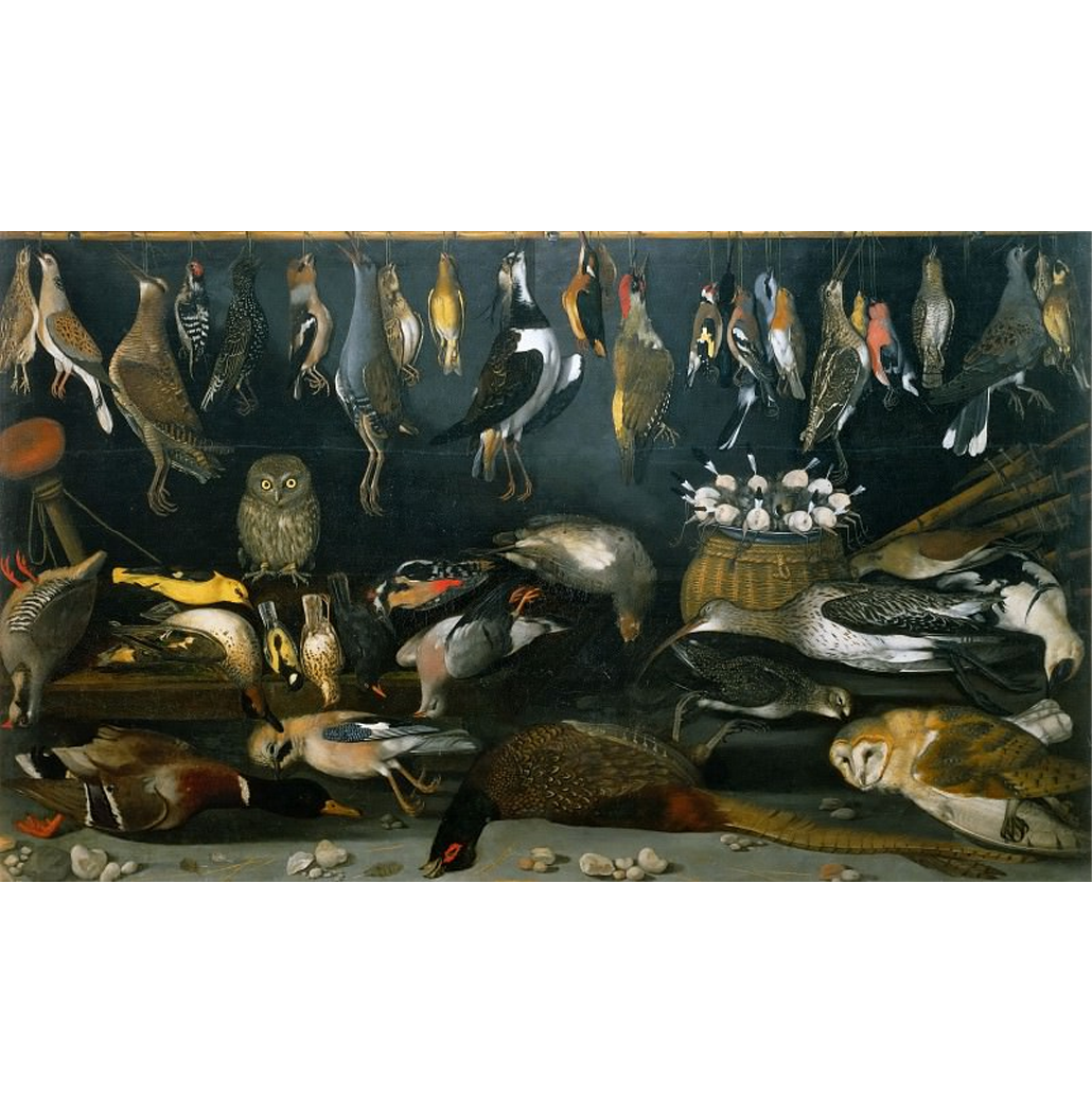 Natureza Morta com Pássaros - Caravaggio