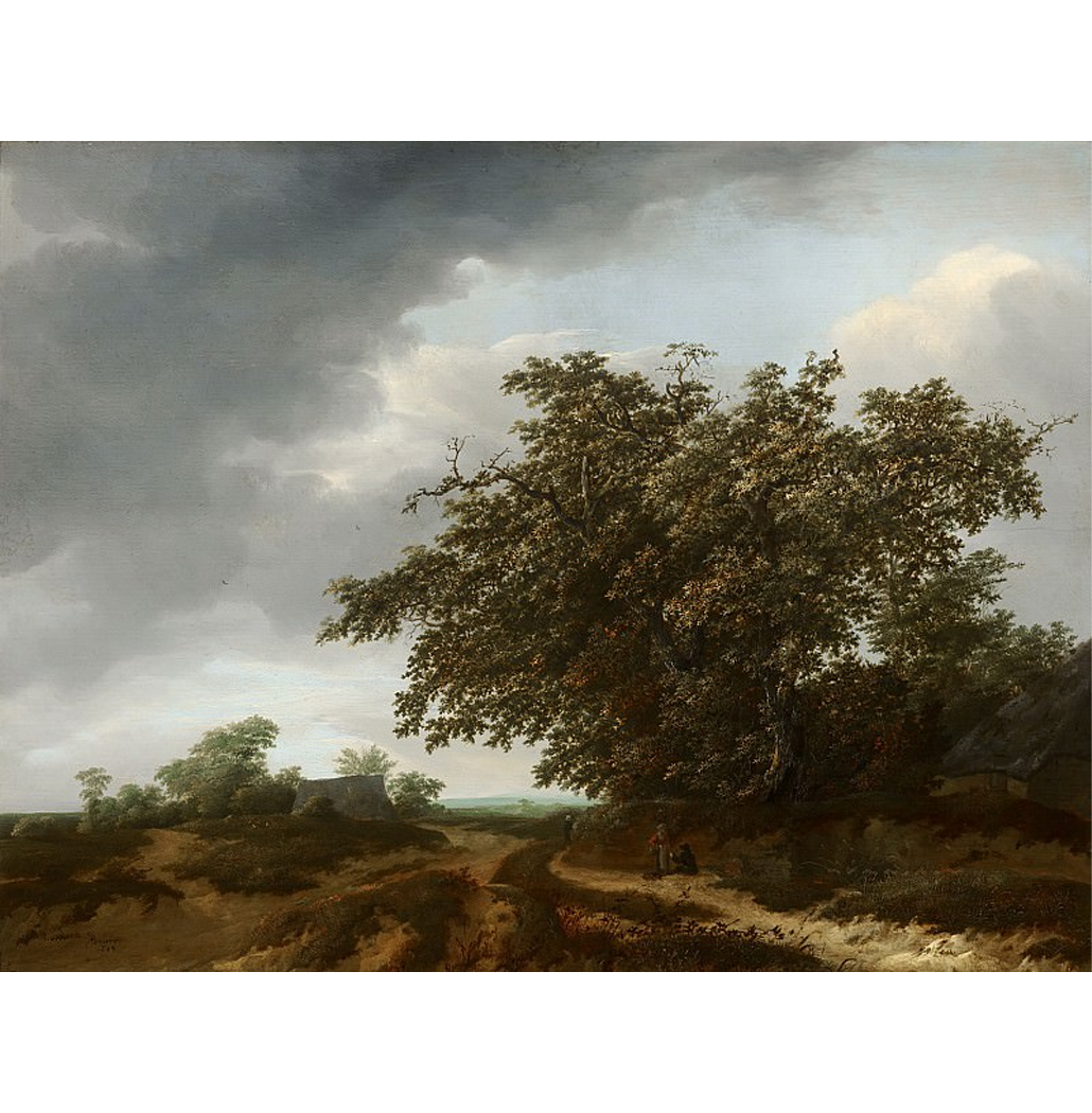 Paisagem na Orla das Dunas - Vermeer