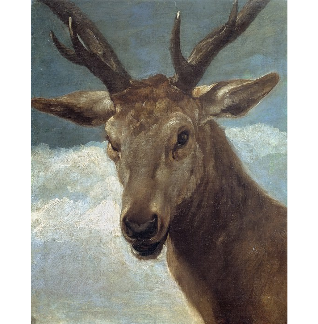 Cabeça de Veado - Velázquez